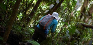 Adventures in the Cameron Highlands